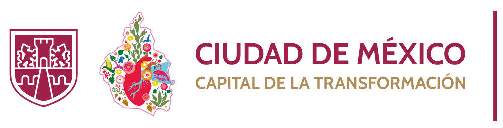IPDP CDMX