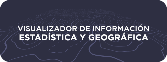 VISUALIZADOR DE INFORMACIÓN ESTADÍSTICA Y GEOGRÁFICA